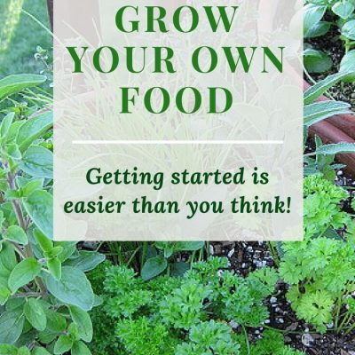 Grow your own food -- it's really easy to get started! Find out how easy it is to get started growing your own food. Save money on healthy food! Click to read more or pin to save for later. |food growing | beginner gardening |