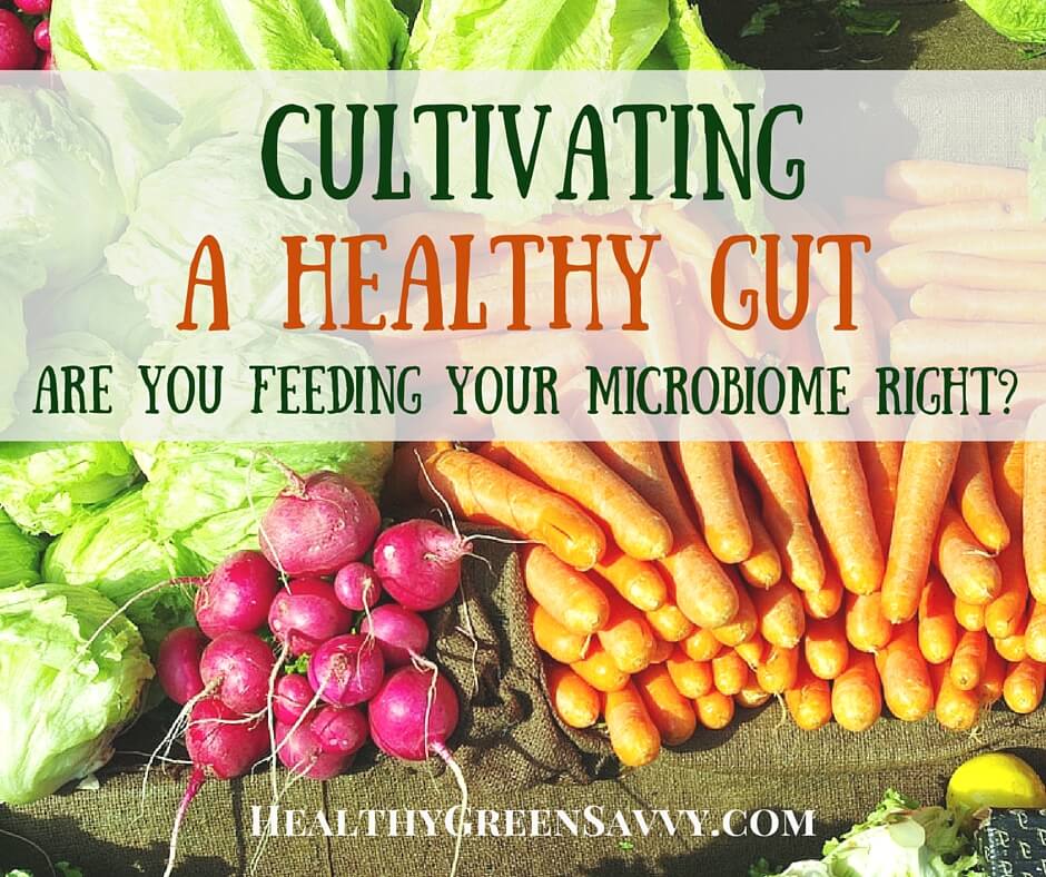 Gut Health 101: Why Your Microbiome Matters