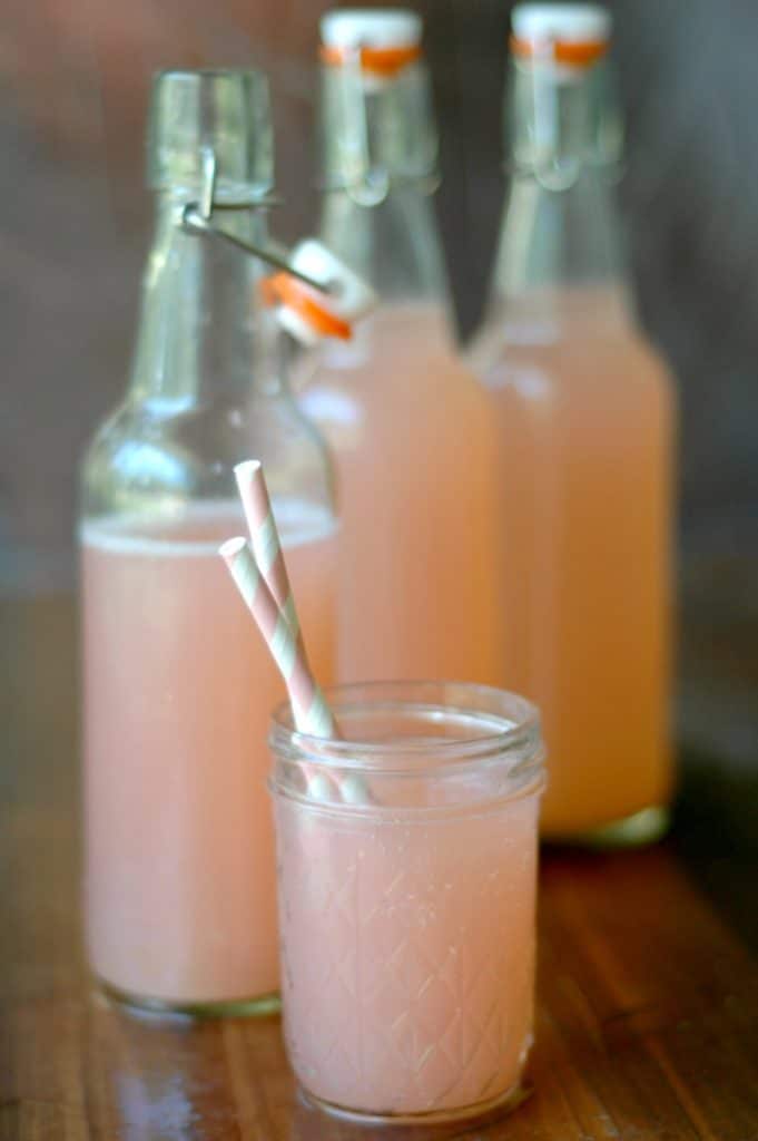 photo illustrating uses for rhubarb: Honey Rhubarb Water Kefir Soda from Raising Generation Nourished