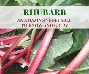 cover photo of rhubarb stalks with title text overlay 