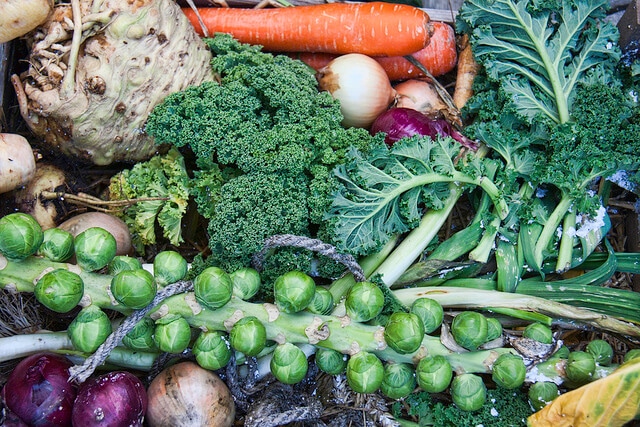 You Can Eat That?? Reduce Waste with 40+ Root to Stem ...