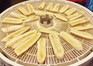 photo of fresh bananas on dehydrator tray