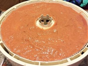 photo of rhubarb sauce on dehydrator ready to be turned into homemade fruit leather