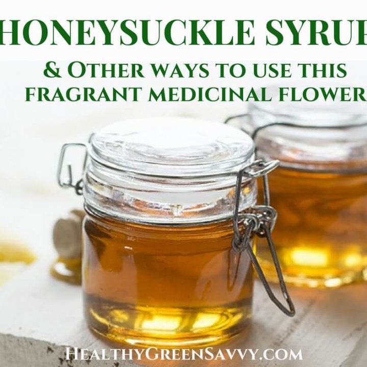 cover photo of honeysuckle syrup recipe with title text