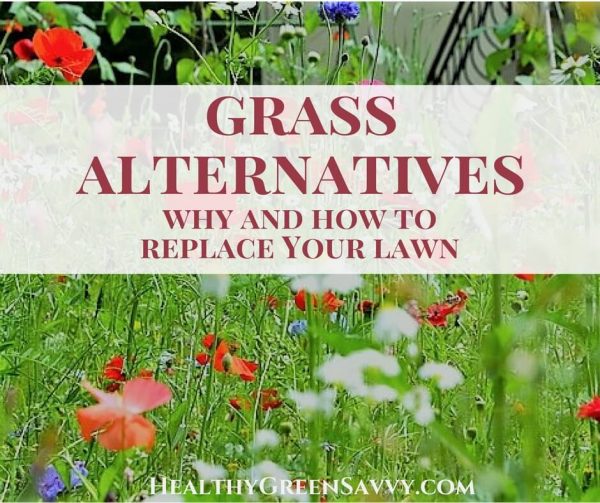Grass Alternatives Best Ecofriendly Lawn Replacements