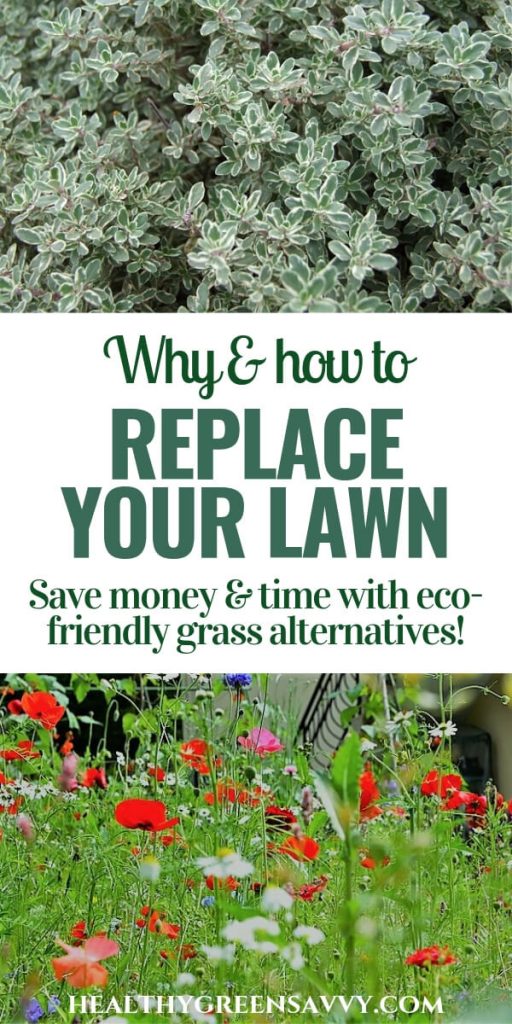 Grass Alternatives Why & How to Replace Your Lawn