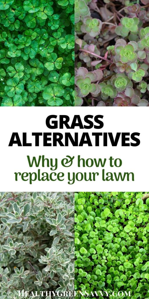 pin with photos of grass alternatives and title text