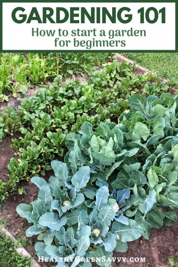 pin with title text and photo of vegetable garden