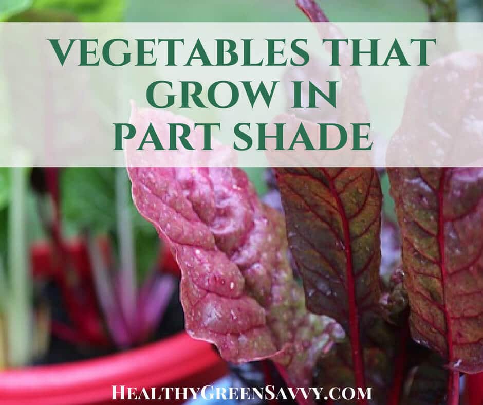Cover photo of chard, one of many vegetables that grow in shade, growing in pots with title text