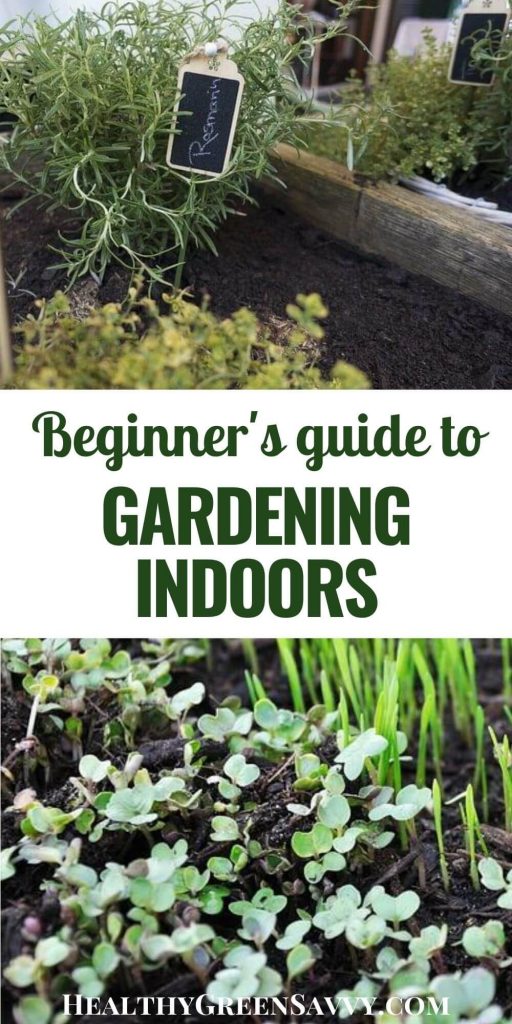 pin wth photo of herbs growing in pots and title text