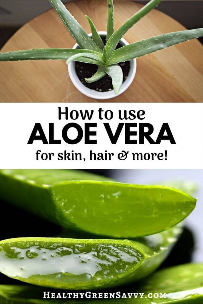 Incredible Uses For Aloe Vera Plant Healthygreensavvy