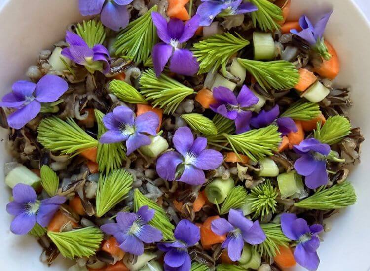 photo of wild rice salad with violets and spruce tips