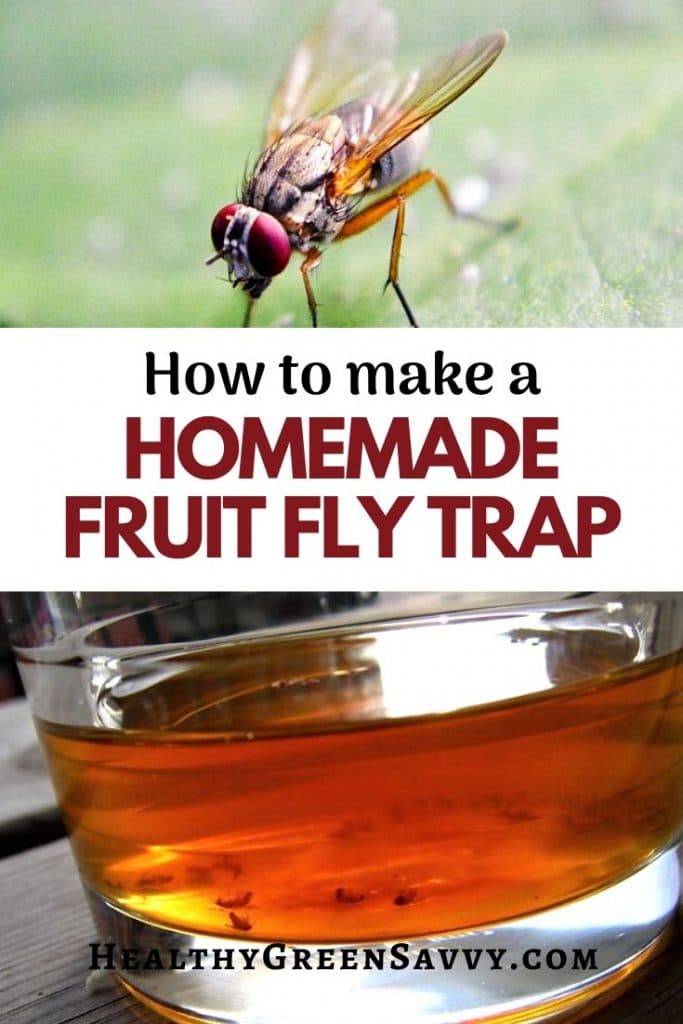 Easy Homemade Fruit Fly Trap  Homemade fly traps, Fruit fly trap diy,  Fruit fly trap