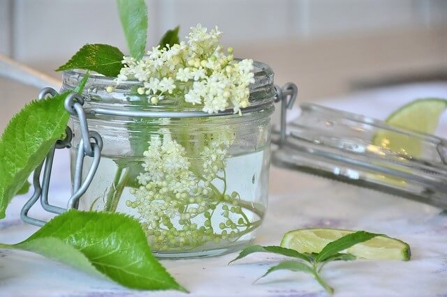 photo of elderflower blossoms in glass jar