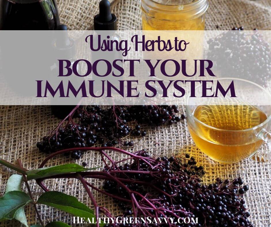 cover photo of immune bosting herbs elderberry and elderflower tea with title text overlay