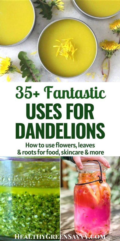 can you eat dandelions pin 3