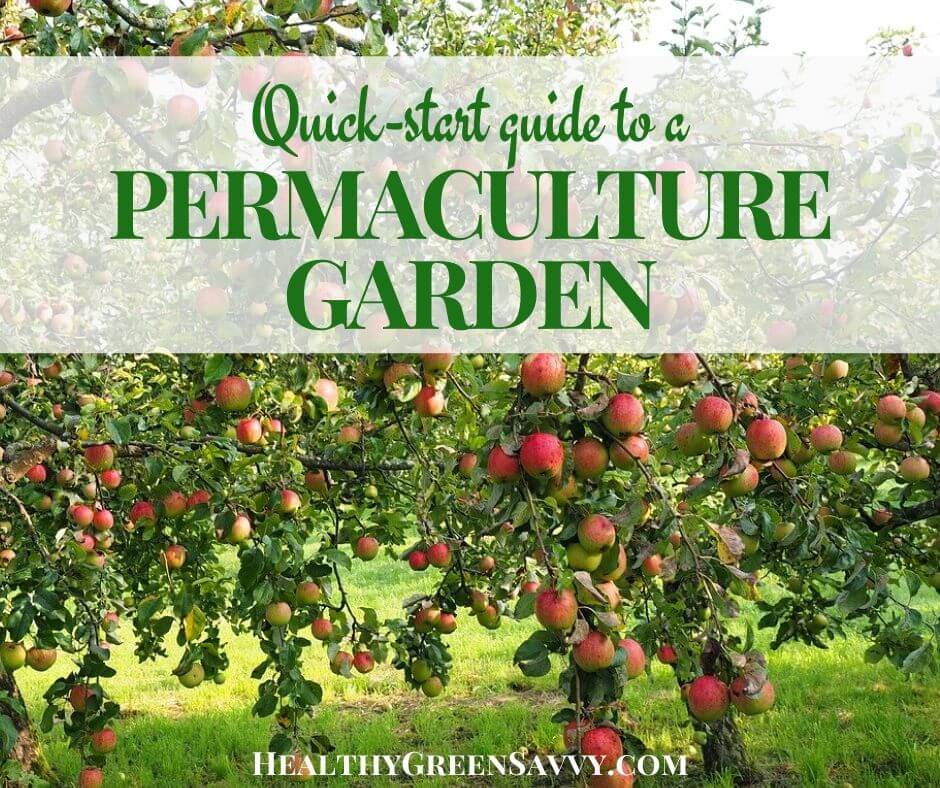 cover photo of apple tree with title text overlay