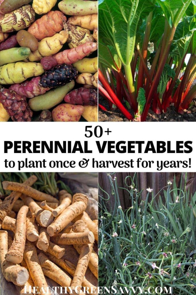 pin with photos of perennial vegetables oca, rhubarb, horseradish, and walking onions plus title text