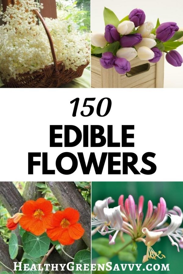 Flowers You Can Eat 150 Edible Flowers to Try This Season