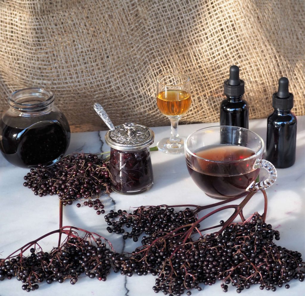 photo of elderberry uses, syrup, chia jam, tincture, elderflower liqueur, tea