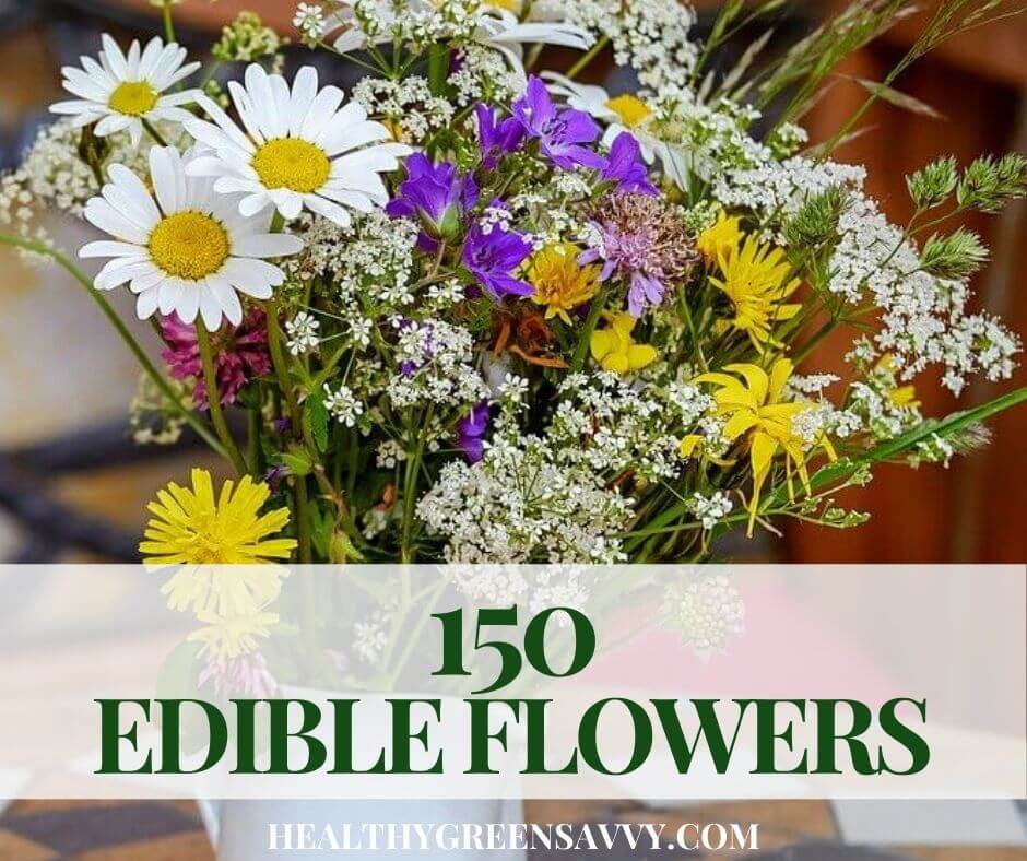 Did you know that many common flowers are edible? Find out which flowers growing in your garden could be beautiful and delicious additions to your next meal! #edibleflowers #garden #foraging #flowersyoucaneat cover photo of bouquet of some flowers you can eat with title text overlay