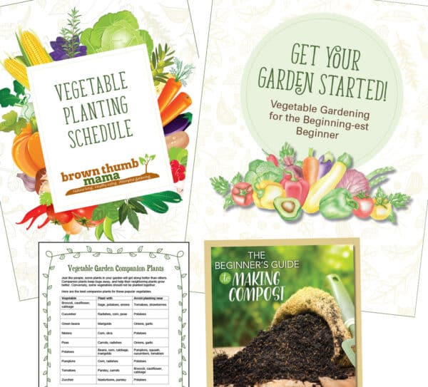 photo of contents of Beginner's Garden Book Bundle from Brown Thumb Mama
