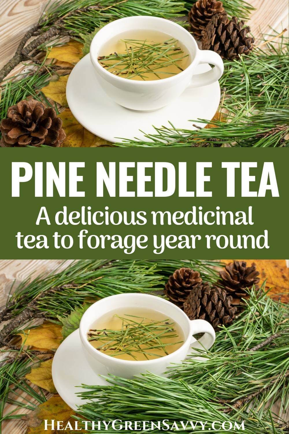 thumbnail image 2 of Maine Forest & Farm Organic Eastern White Pine Needle Tea – Loose Leaf, Grown In Maine 2 of 5