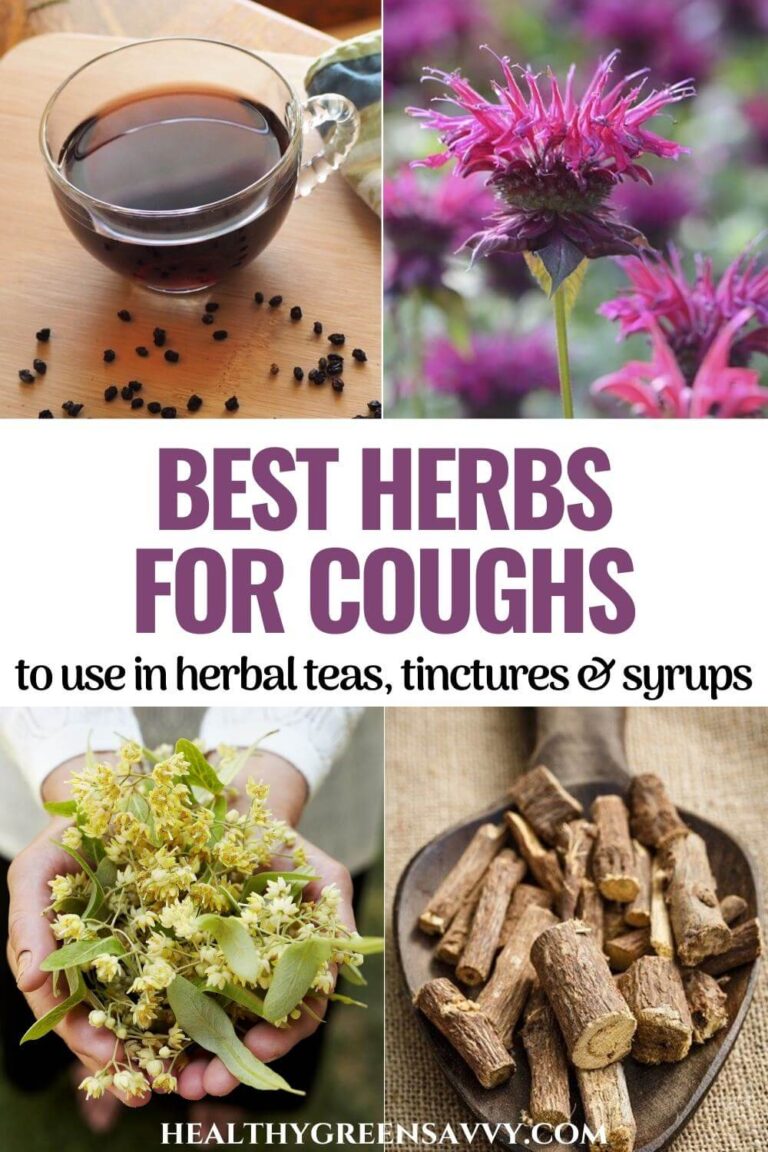 Best Herbs for Cough 20+ Herbal Remedies for Coughs
