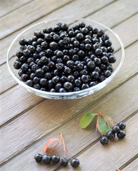 glass bowl filled with black chokeberries on table