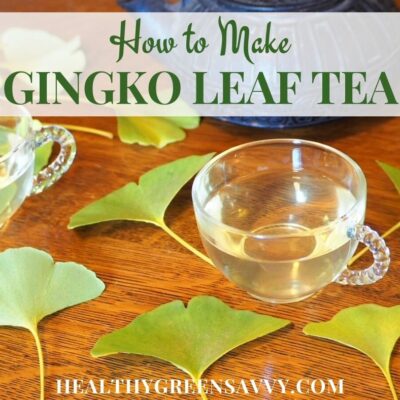 cover photo of ginkgo biloba tea made with foraged ginkgo leaves plus title text