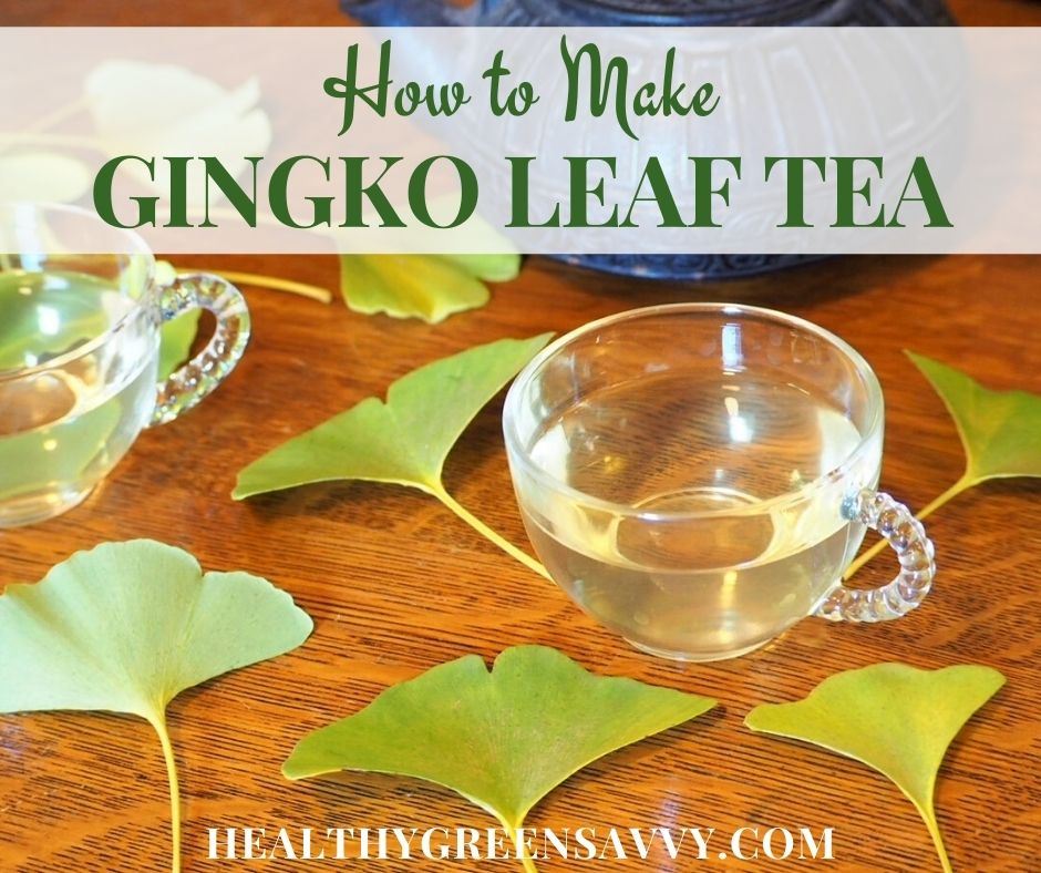 8 Excellent Ginkgo Biloba Tea Benefits + Ginkgo Tea Recipe