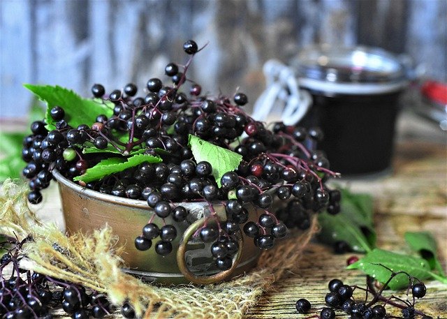 photo of elderberries and elderberry syrup, an effective natural remedy for cough