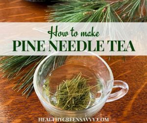 How to Make Pine Needle Tea (Benefits & Pine Tea Recipe)