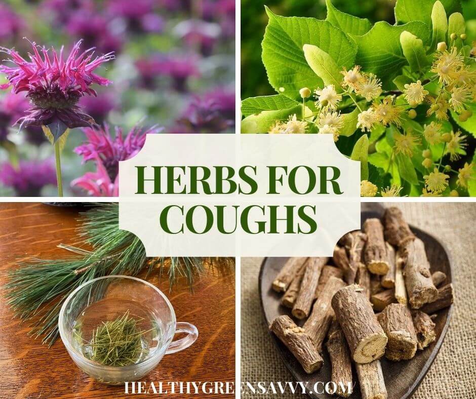 cover collage with photos of herbs for cough bee balm, linden, pine, and licorice plus title text