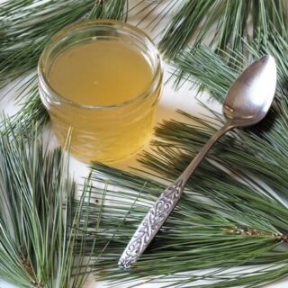 photo of pine needle syrup in jar with pine needles and spoon