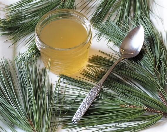 photo of jar of pine needle syrup made with pine needles following pine syrup recipe
