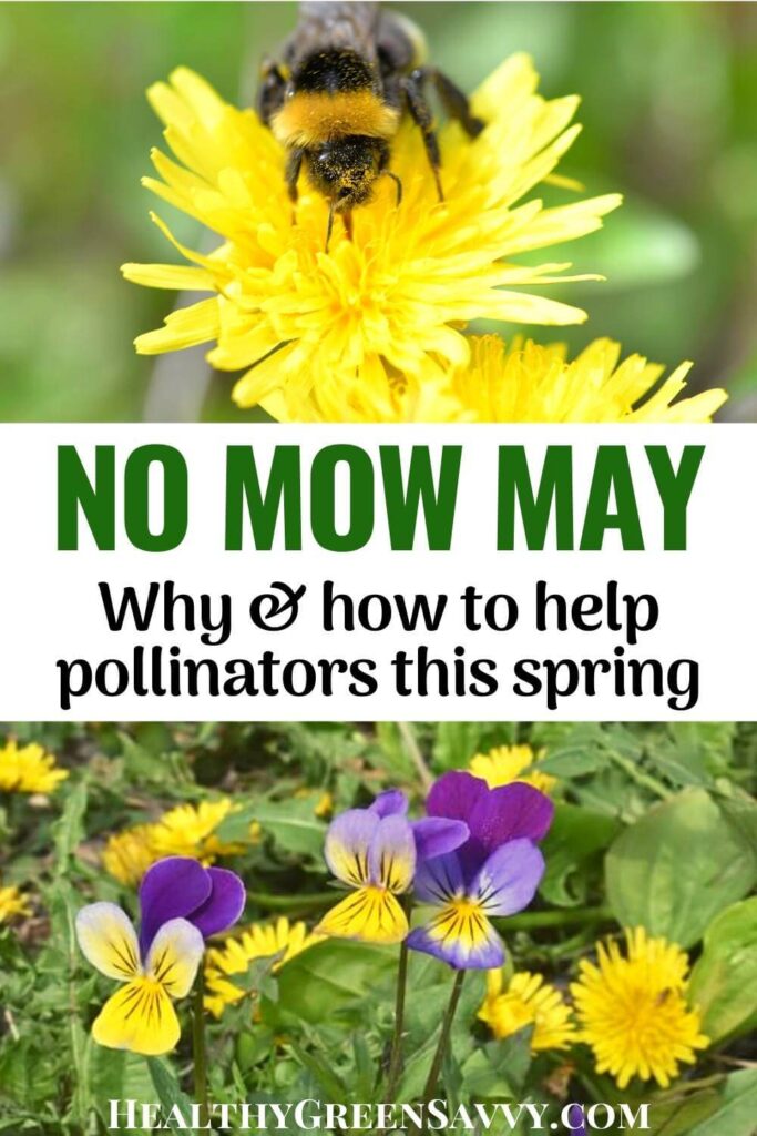 pin with photos of lawn mower mowing down dandelions with title text (No Mow May)