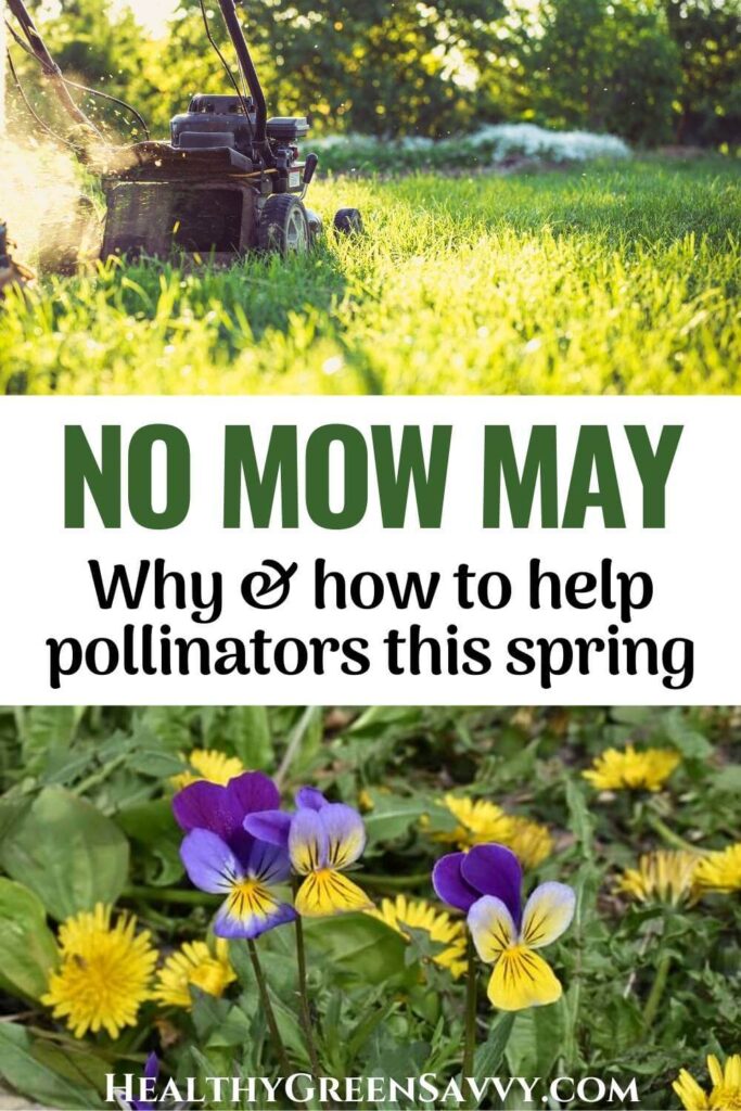 pin with photos of lawn mower mowing down grass and wildflowers with title text (No Mow May)