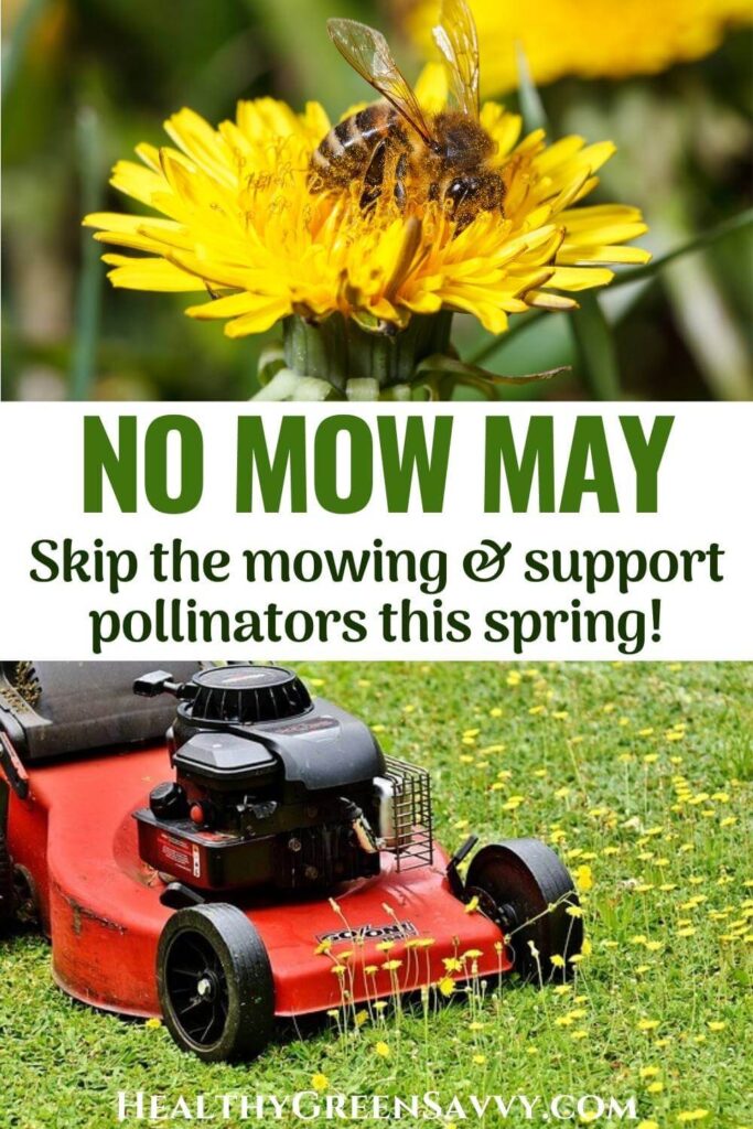 pin with photos of bee on dandelion flower and lawn mower mowing down dandelions with title text (No Mow May)