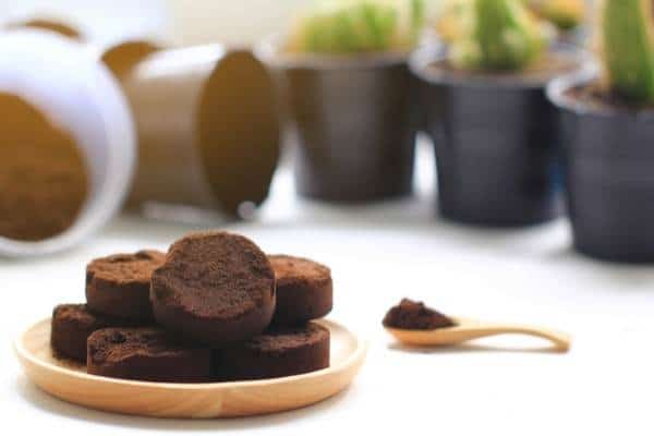 photo of used coffee grounds on plate with plants in background