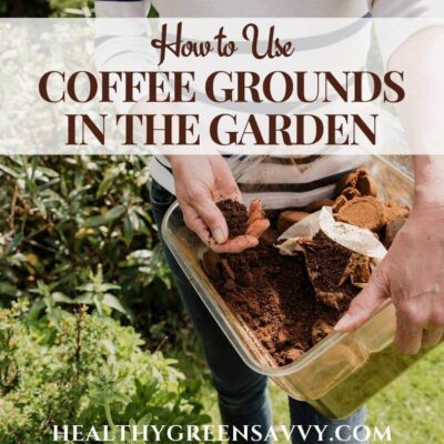 cover photo of someone using coffee grounds in the garden with title text overlay