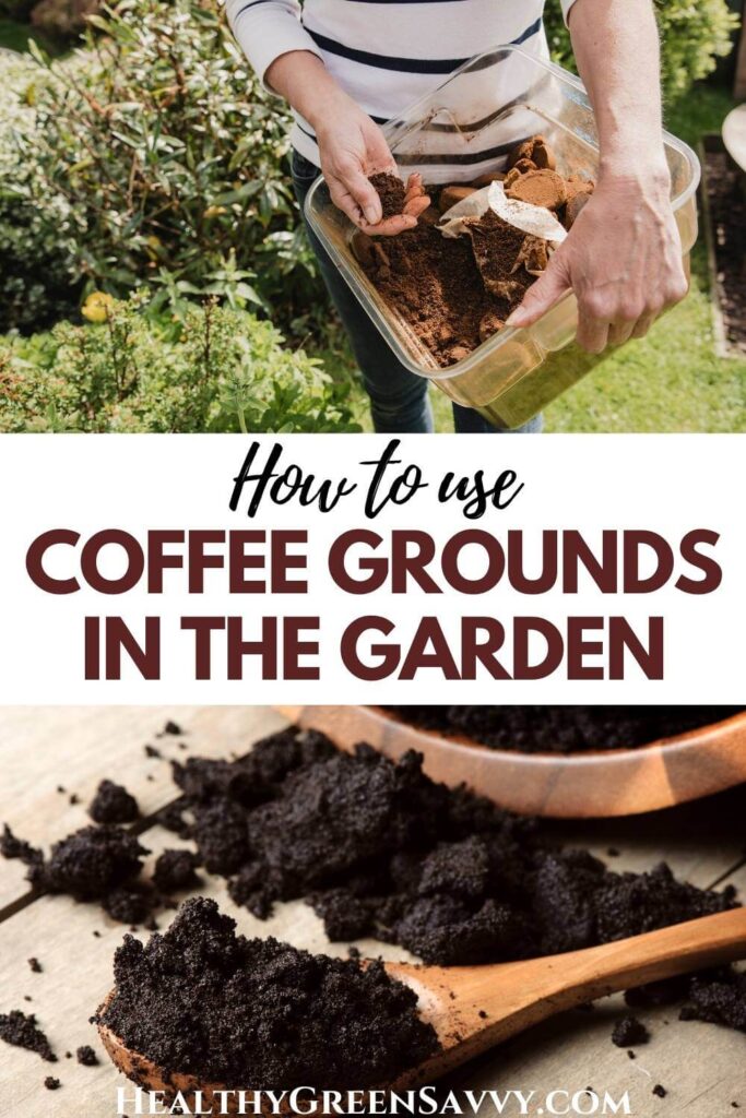 pin with photos of someone using coffee grounds in the garden and dish of coffee grounds plus title text