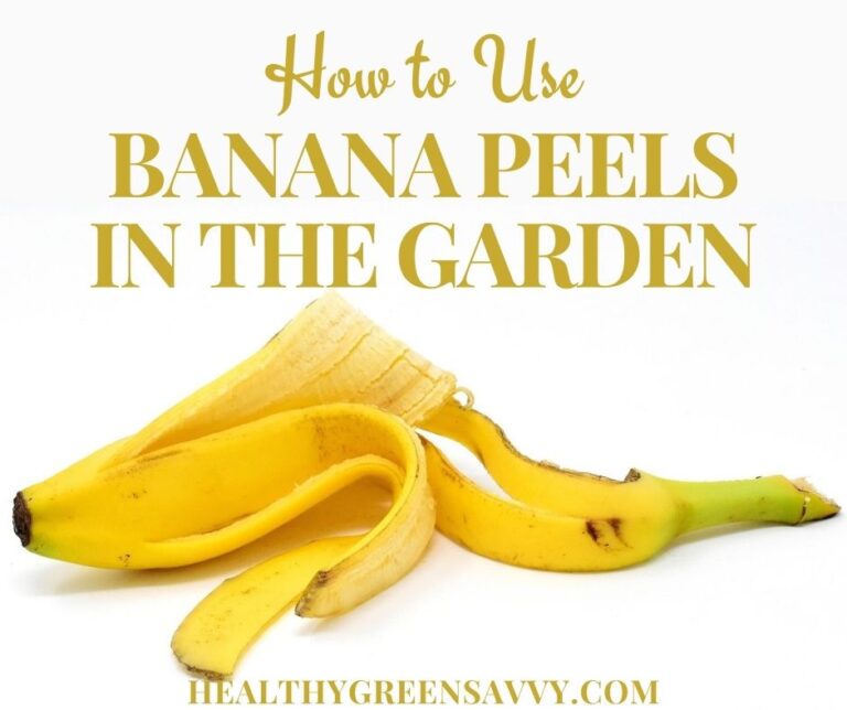 Banana Peel Fertilizer Using Banana Peels in the Garden