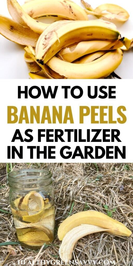 pin with photos of banana peels in garden