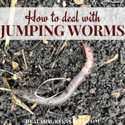 cover photo of Asian jumping worm on soil with title text overlay