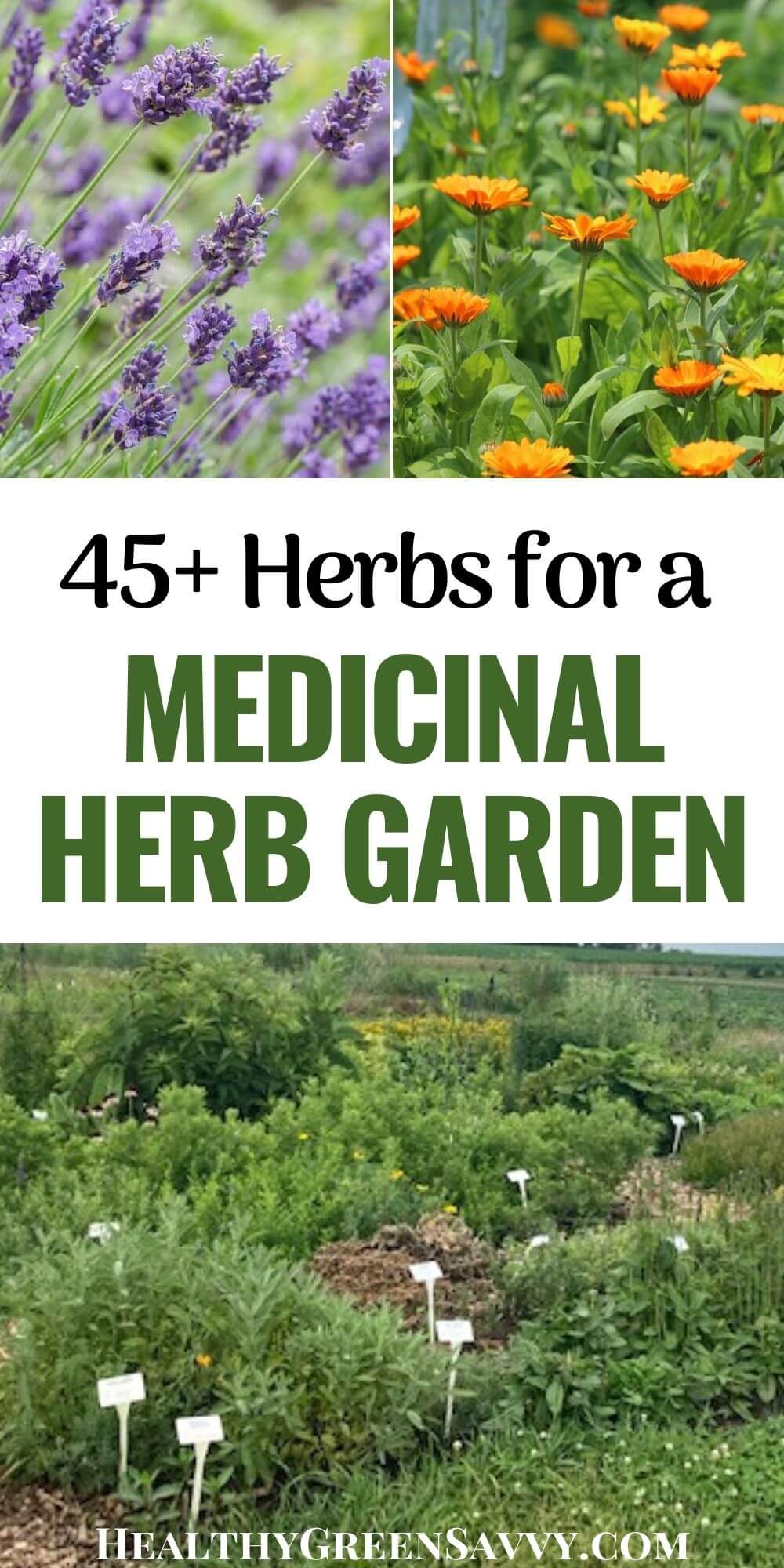 Growing a Medicinal Herb Garden 45 Medicinal Garden Plants