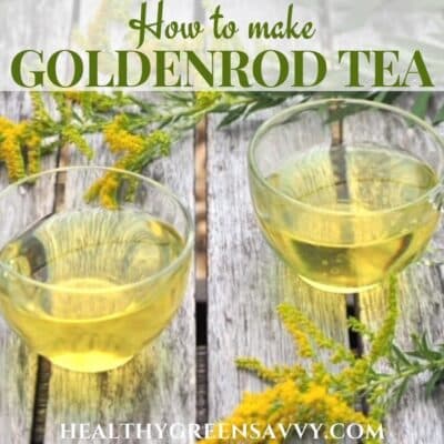 cover photo of goldenrod tea recipe in glass cups with goldenrod flowers on wood table plus title text