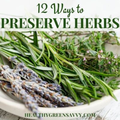 cover photo of fresh herbs in bowl with title text overlay