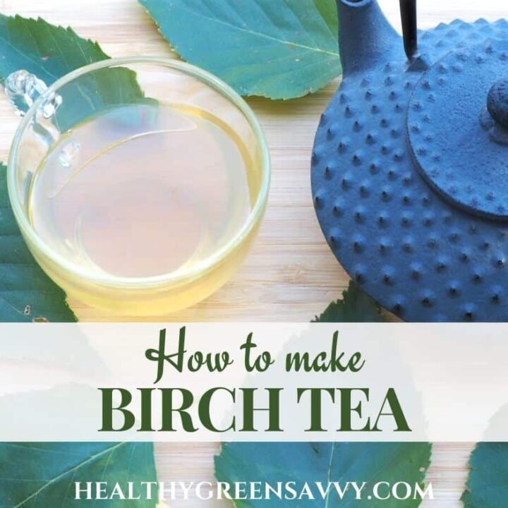 cover photo of birch tea in cup with teapot and birch leaves