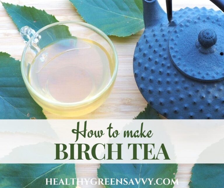 How to Make Birch Tea (Birch Leaf Tea, Birch Bark Tea)